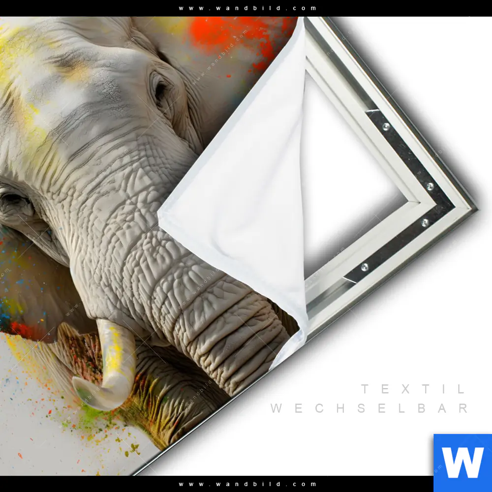 Spannbild | Farbenexplosion mit Elefant | Quadrat - Image 3