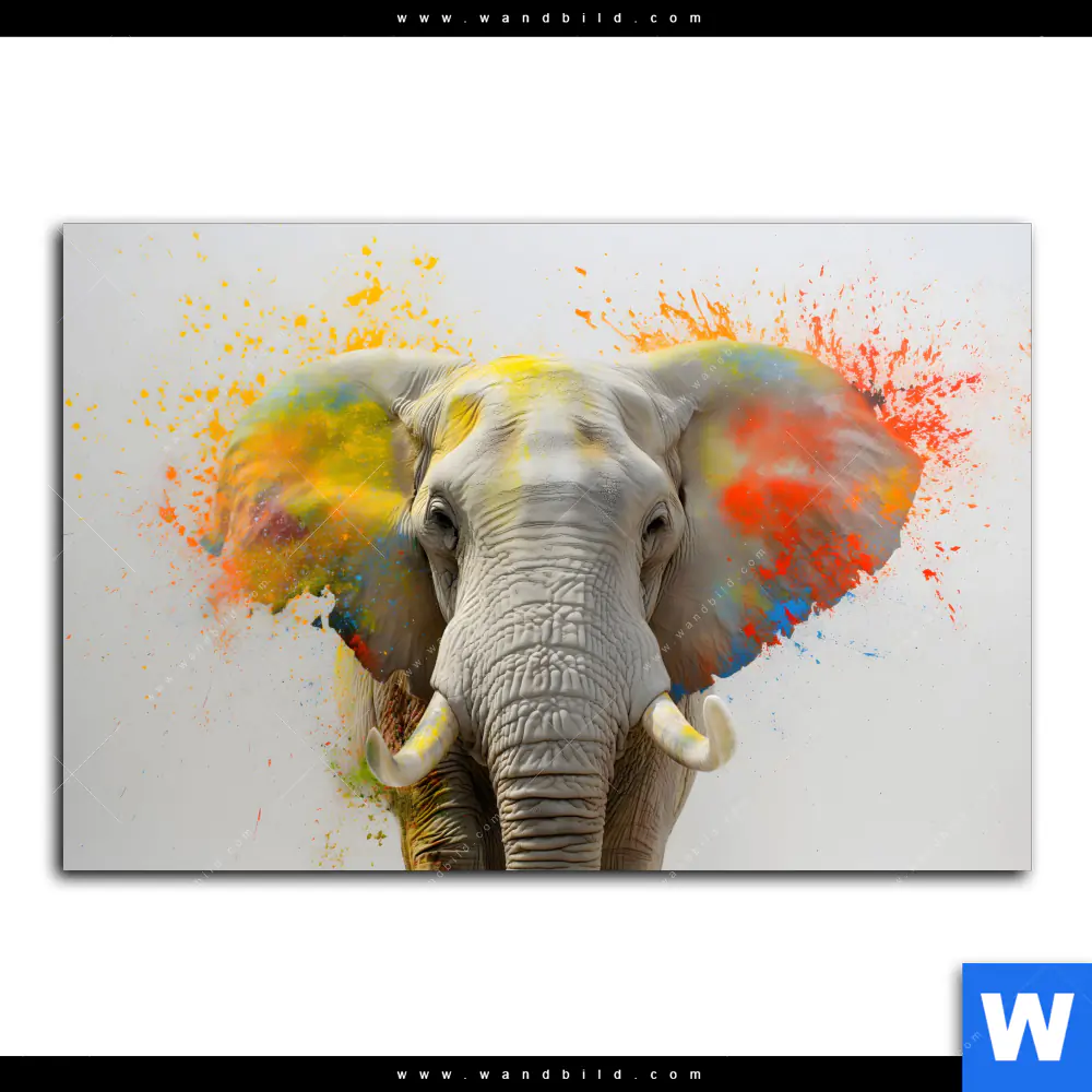Spannbild | Farbenexplosion mit Elefant | Querformat - Image 2