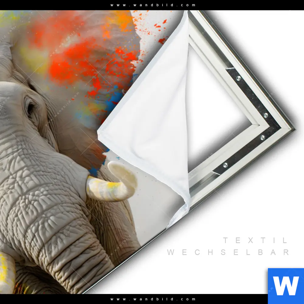 Spannbild | Farbenexplosion mit Elefant | Querformat - Image 3