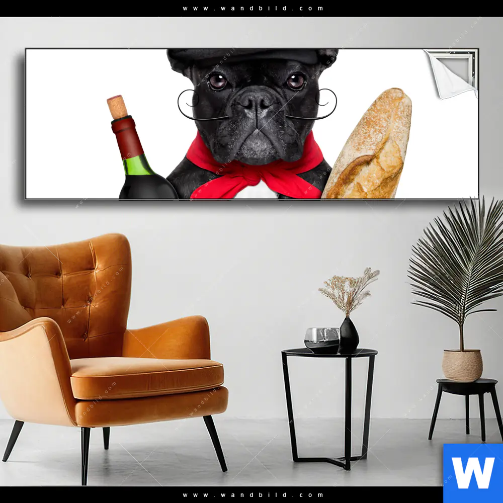 Spannbild | Französischer Bulldoggen-Charme mit Baguette & Wein | Panorama