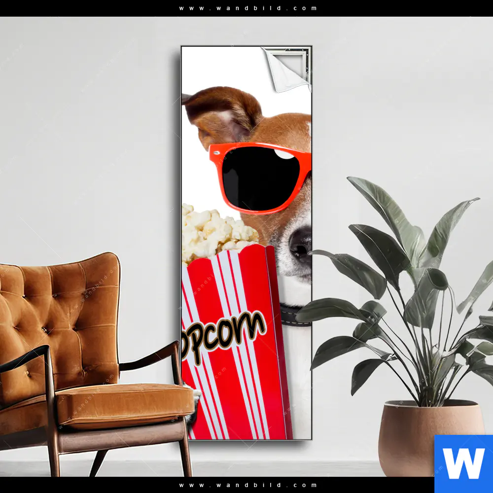 Spannbild | Kinoabend mit Terrier | Schmal