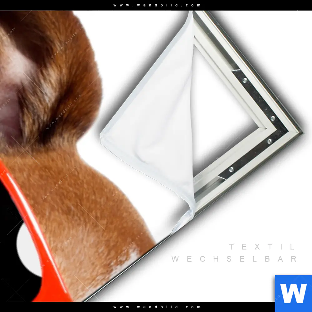 Spannbild | Kinoabend mit Terrier | Schmal - Image 3