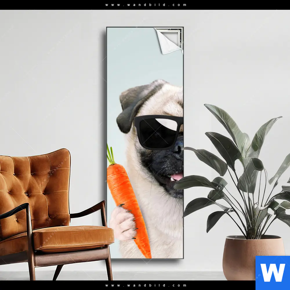 Spannbild | Lustiger Hund mit Burger | Schmal