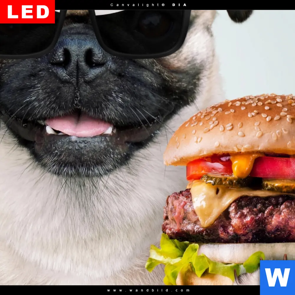 Spannbild | Lustiger Hund mit Burger | Schmal - Image 4