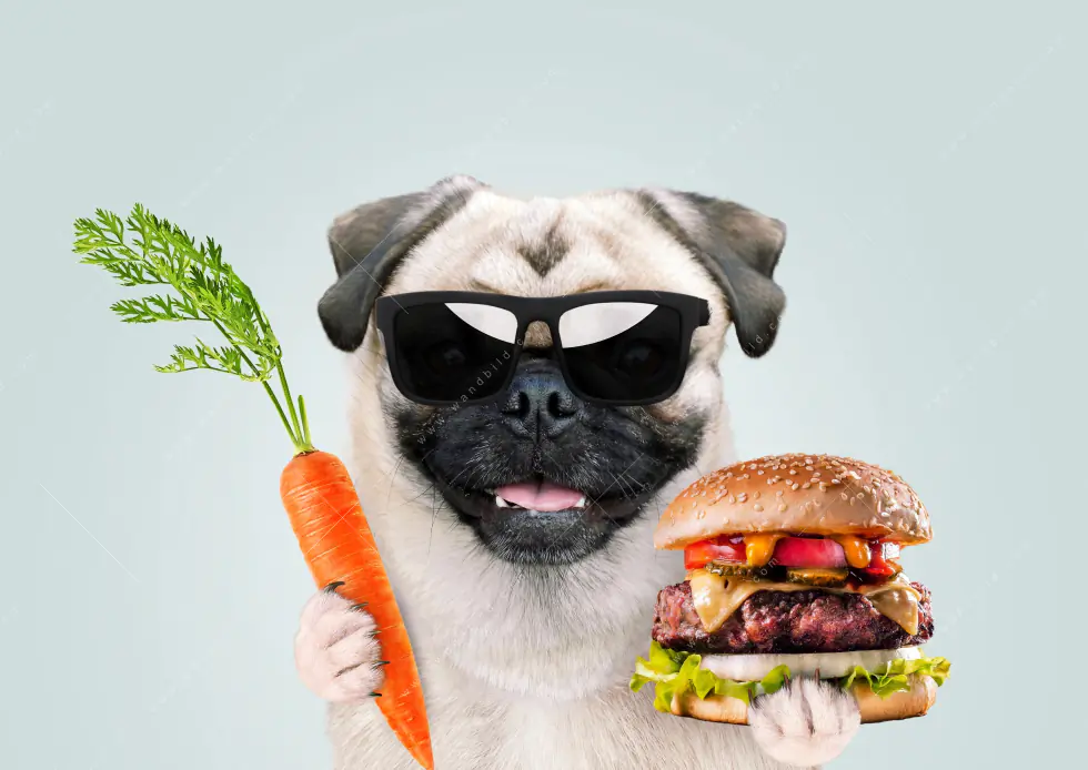 Spannbild | Lustiger Hund mit Burger | Schmal - Image 5