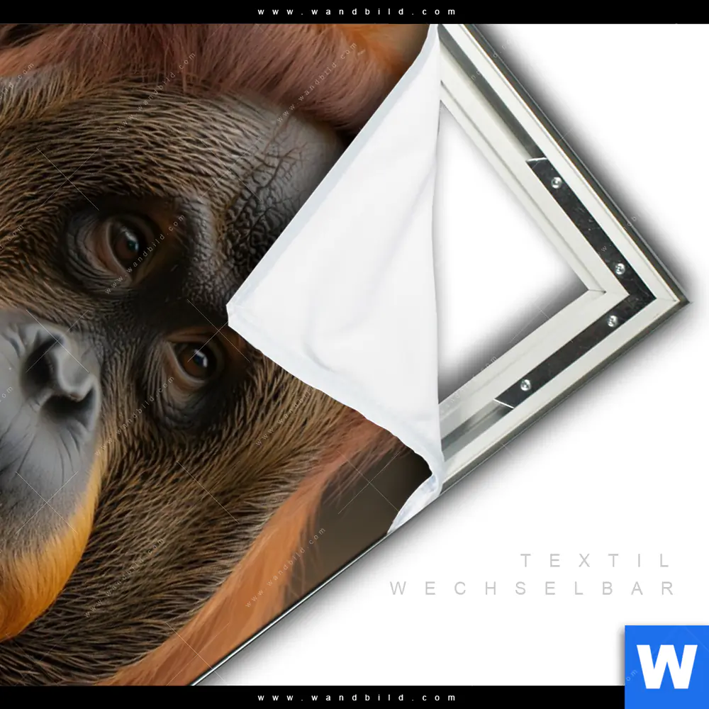 Spannbild | Orang-Utan mit sanftem Blick | Hochformat - Image 3