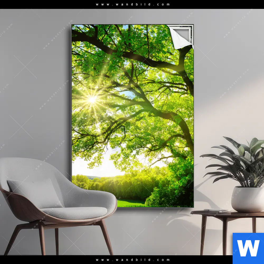Spannbild | Sonnendurchfluteter Baum | Hochformat