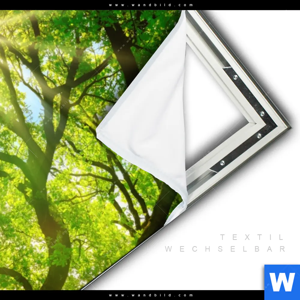 Spannbild | Sonnendurchfluteter Baum | Hochformat - Image 3
