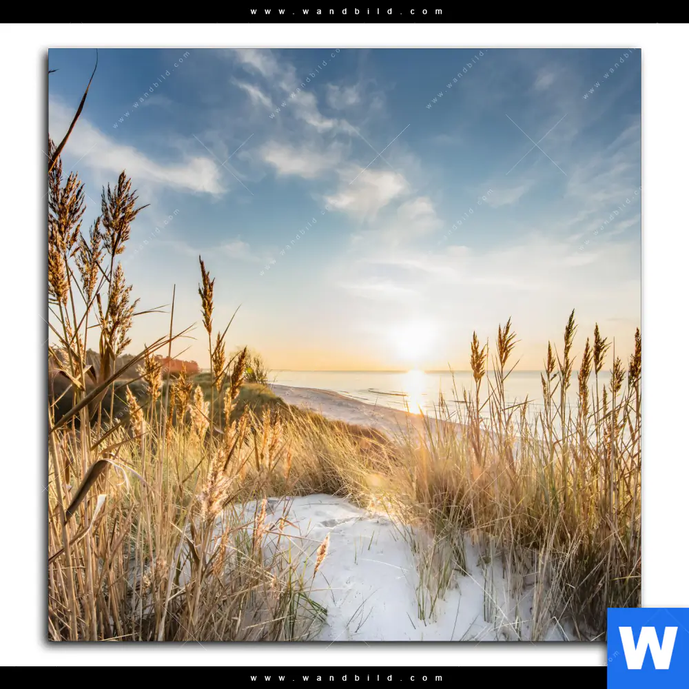 Spannbild | Urlaub am Meer | Quadrat - Image 2