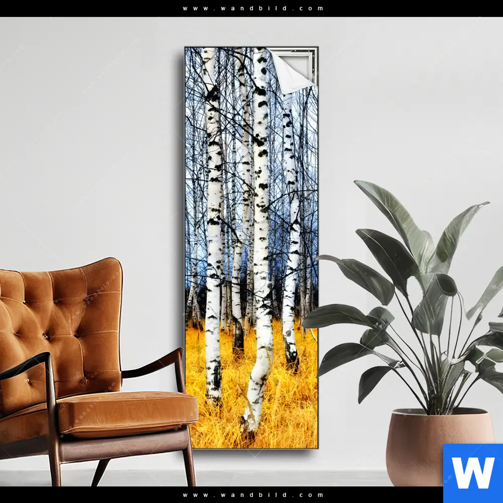 Spannbild | Wald mit Birkenbäumen | Schmal