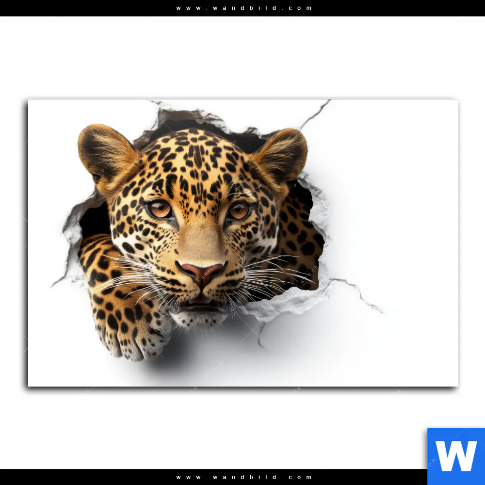 Spannbild | Wanddurchbruch - Leopard | Querformat - Image 2