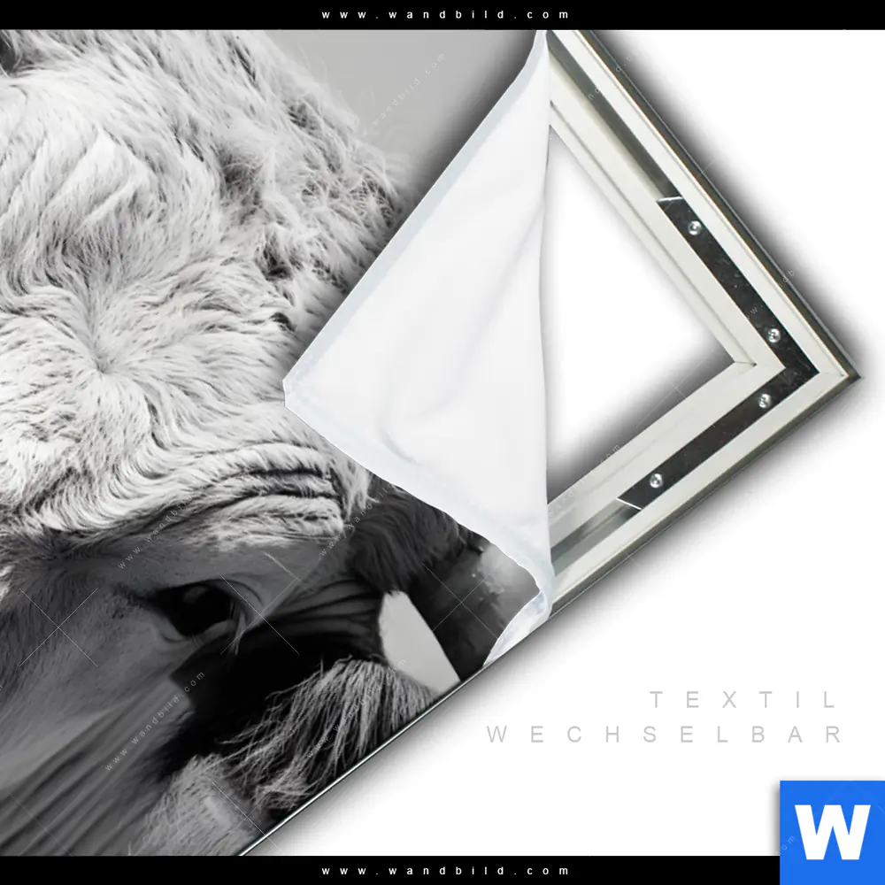Spannbild | Weisser Bulle | Hochformat - Image 3