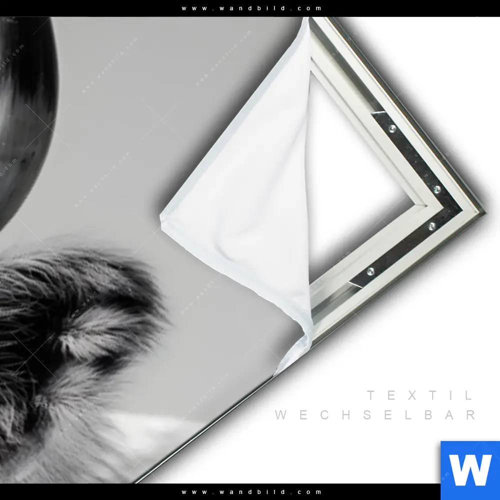 Spannbild | Weisser Bulle | Panorama - Image 3