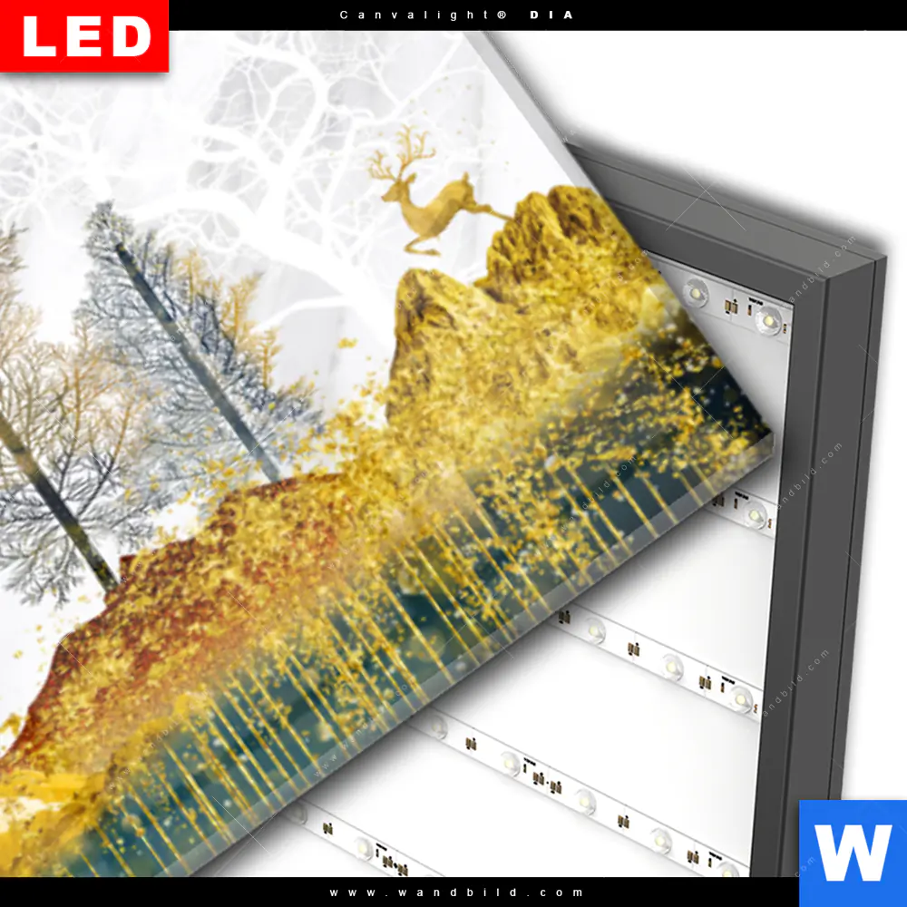 Wechselmotiv Acrylglas Canvalight® DIA | Abstrakte Landschaft No.1 | Panorama - Image 3