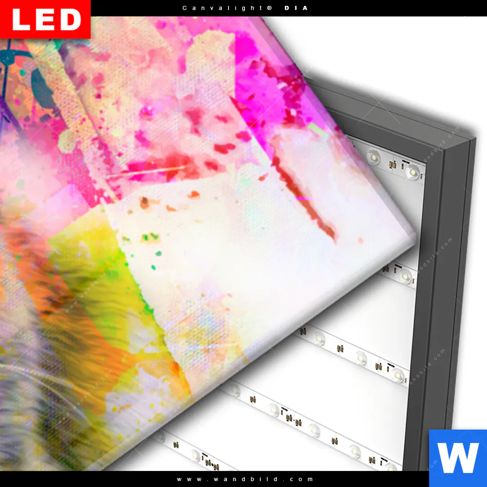 Wechselmotiv Acrylglas Canvalight® DIA | Abstrakte Löwin | Panorama - Image 3