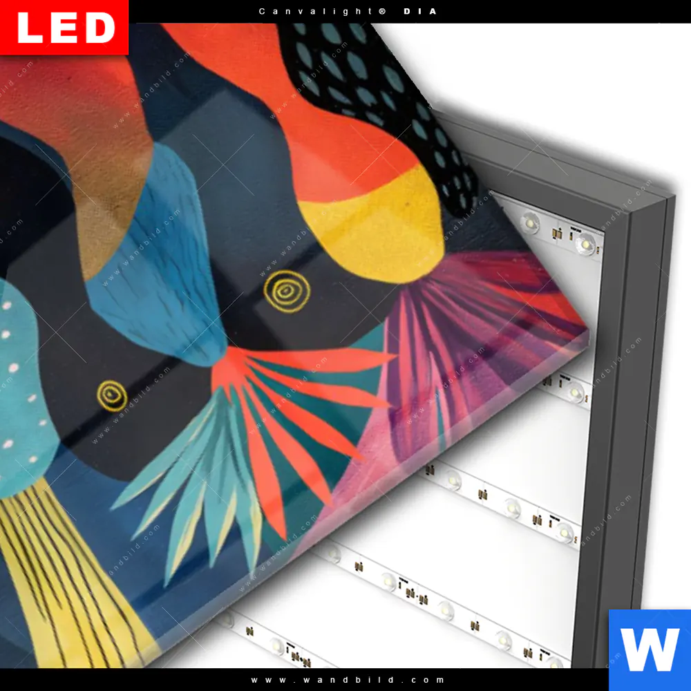 Wechselmotiv Acrylglas Canvalight® DIA | Abstrakte Natur | Schmal - Image 3