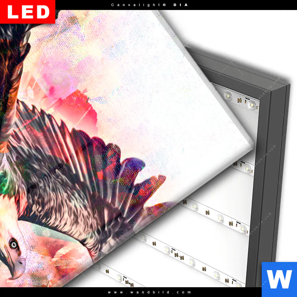 Wechselmotiv Acrylglas Canvalight® DIA | Abstrakter Adler | Hochformat - Image 3