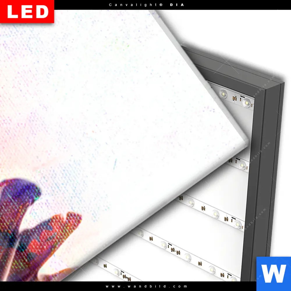 Wechselmotiv Acrylglas Canvalight® DIA | Abstrakter Adler | Schmal - Image 3