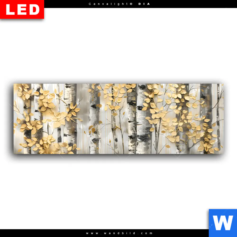 Wechselmotiv Acrylglas Canvalight® DIA | Abstrakter Birkenwald | Panorama - Image 2