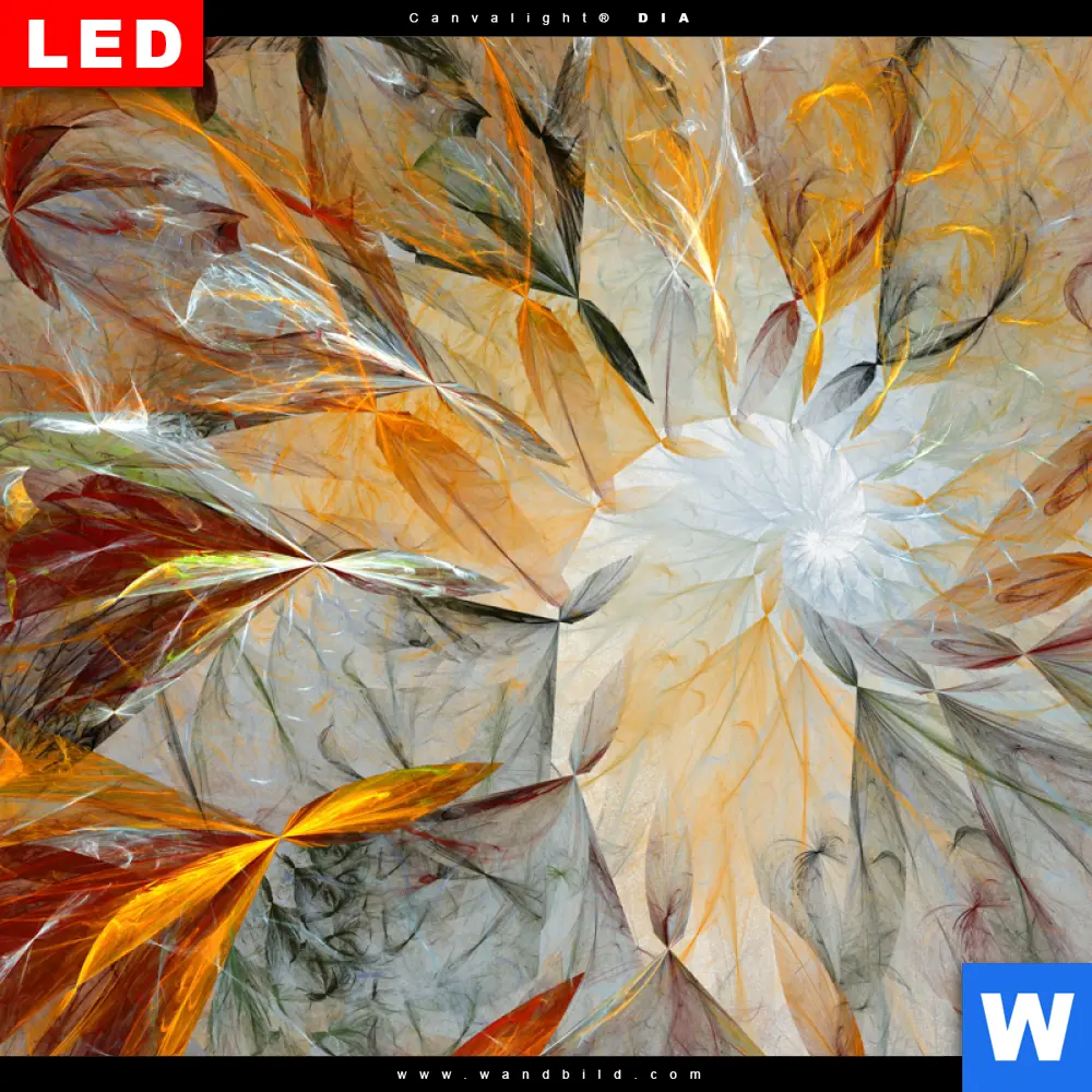 Wechselmotiv Acrylglas Canvalight® DIA | Abstrakter Blütenzauber in orange | Quadrat - Image 4