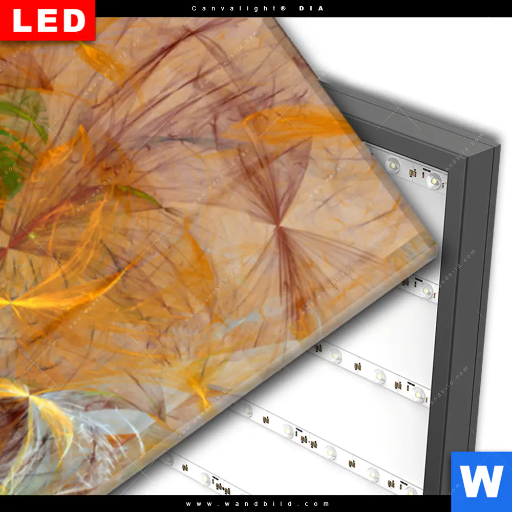 Wechselmotiv Acrylglas Canvalight® DIA | Abstrakter Blütenzauber in orange | Schmal - Image 3