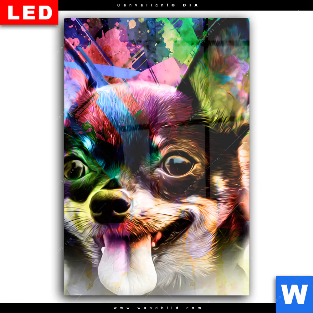 Wechselmotiv Acrylglas Canvalight® DIA | Abstrakter Chihuahua | Hochformat - Image 2