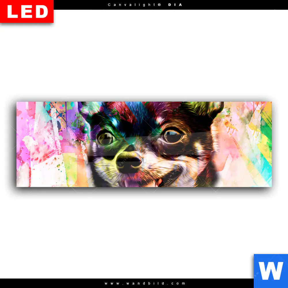 Wechselmotiv Acrylglas Canvalight® DIA | Abstrakter Chihuahua | Panorama - Image 2