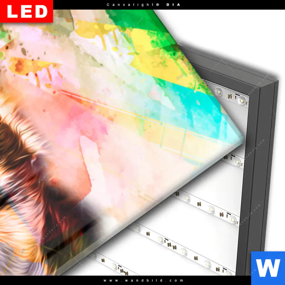 Wechselmotiv Acrylglas Canvalight® DIA | Abstrakter Chihuahua | Panorama - Image 3
