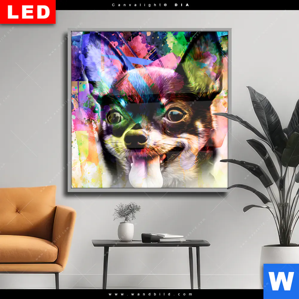Wechselmotiv Acrylglas Canvalight® DIA | Abstrakter Chihuahua | Quadrat