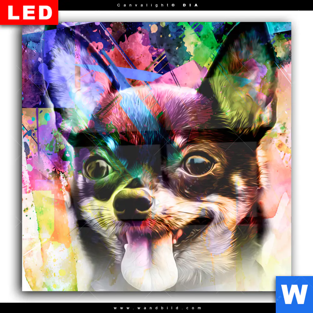 Wechselmotiv Acrylglas Canvalight® DIA | Abstrakter Chihuahua | Quadrat - Image 2