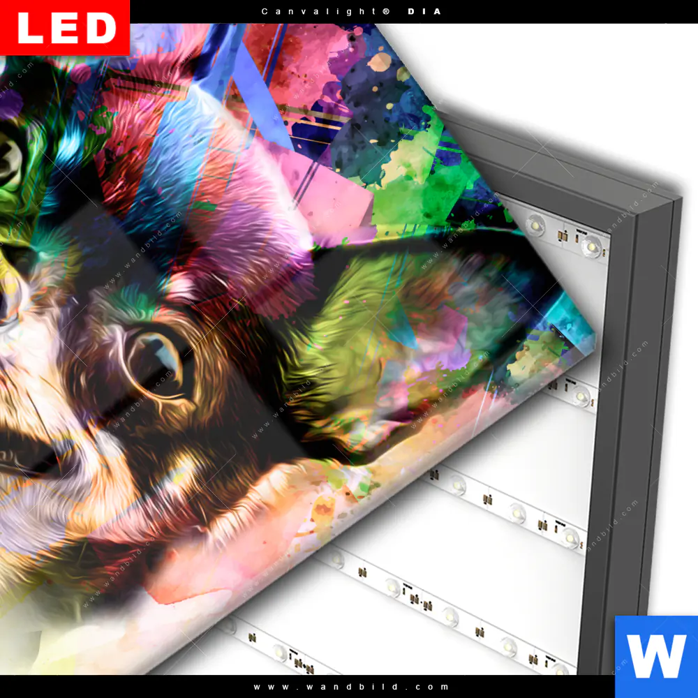 Wechselmotiv Acrylglas Canvalight® DIA | Abstrakter Chihuahua | Quadrat - Image 3