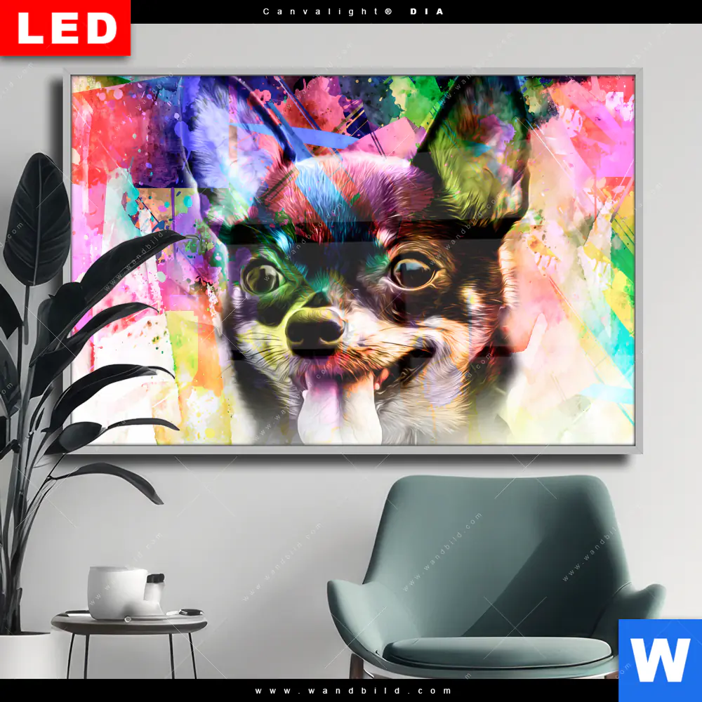 Wechselmotiv Acrylglas Canvalight® DIA | Abstrakter Chihuahua | Querformat