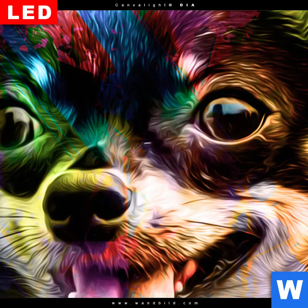 Wechselmotiv Acrylglas Canvalight® DIA | Abstrakter Chihuahua | Schmal - Image 4