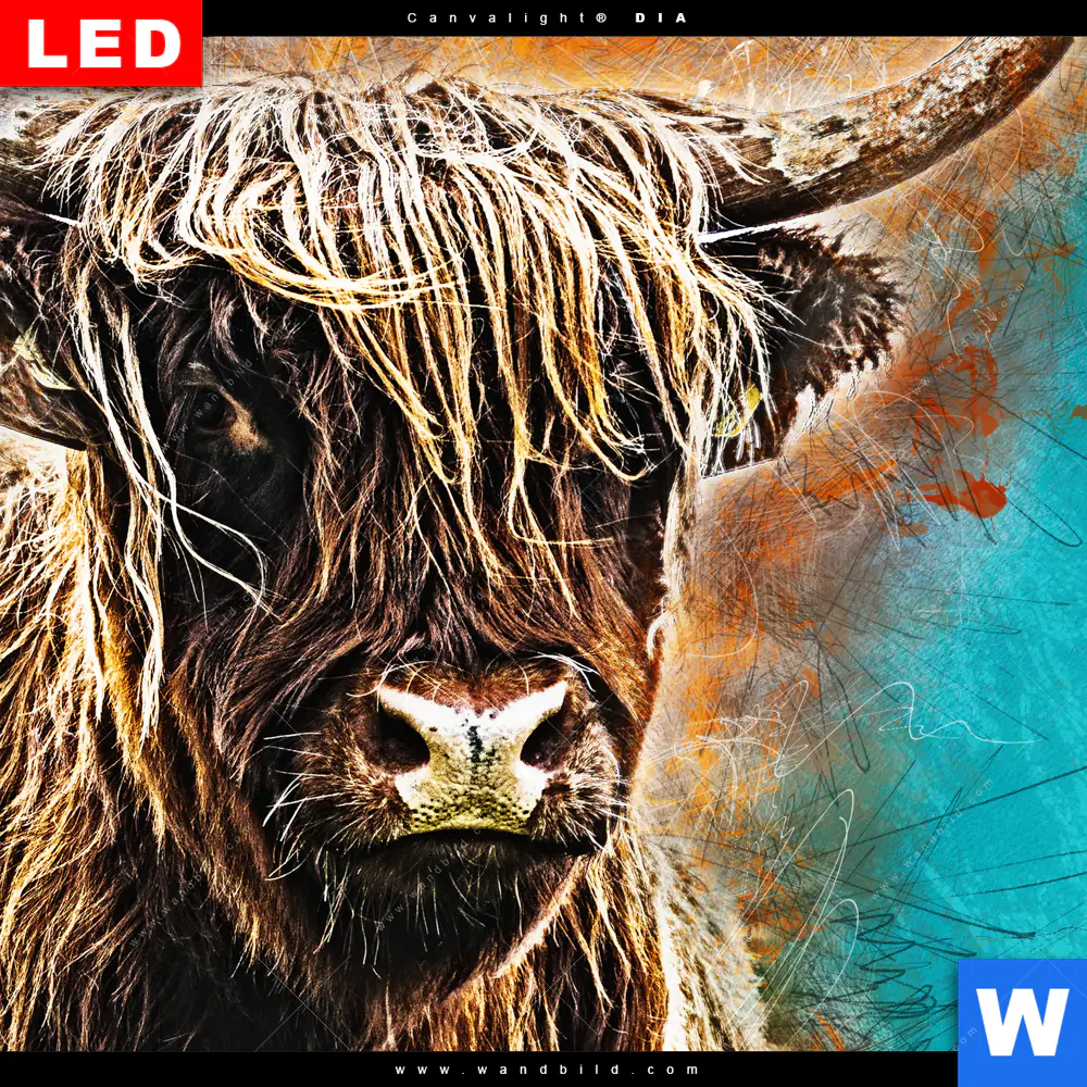 Wechselmotiv Acrylglas Canvalight® DIA | Abstrakter Highlander | Panorama - Image 4