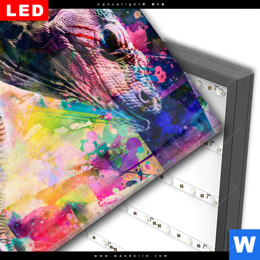Wechselmotiv Acrylglas Canvalight® DIA | Abstrakter Leguan | Quadrat - Image 3