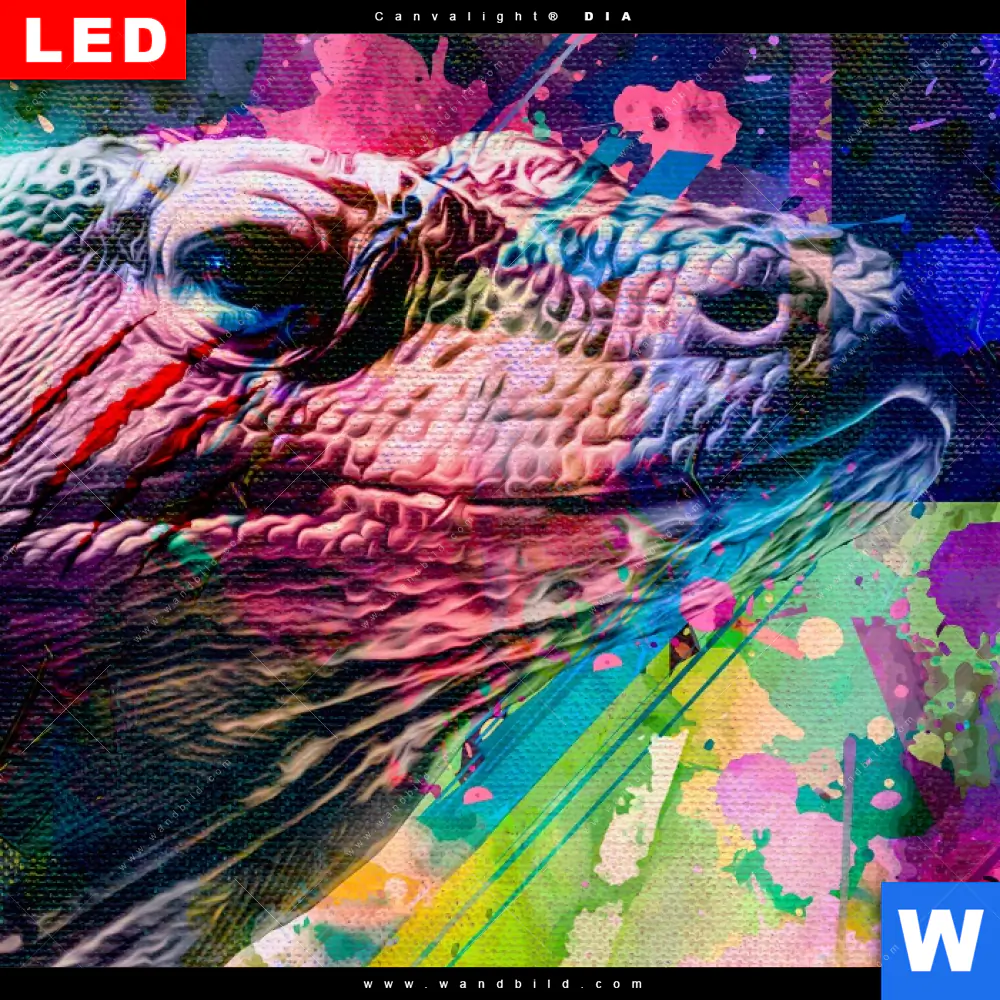 Wechselmotiv Acrylglas Canvalight® DIA | Abstrakter Leguan | Querformat - Image 4