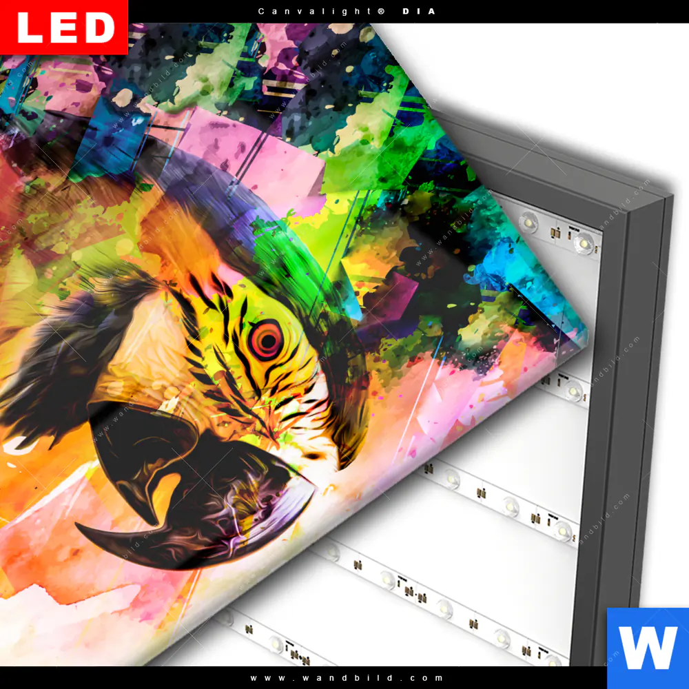 Wechselmotiv Acrylglas Canvalight® DIA | Abstrakter Papagei | Quadrat - Image 3