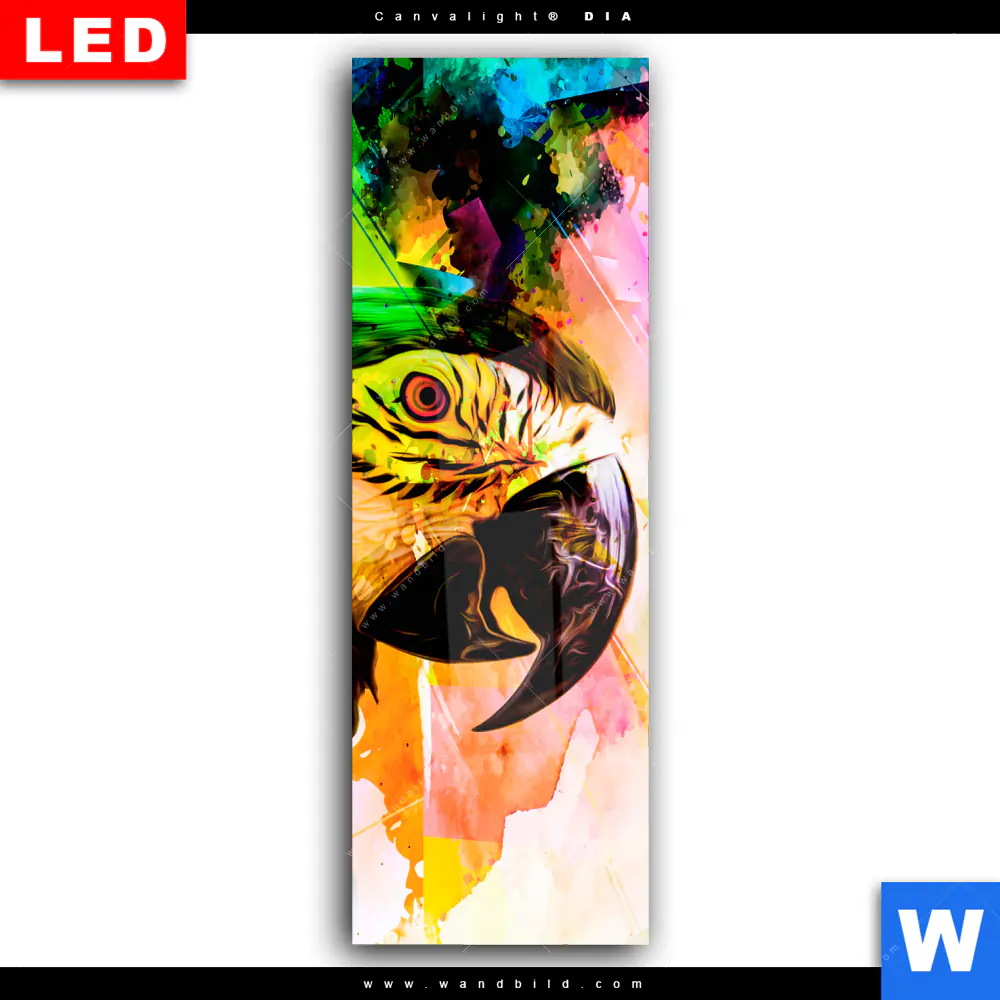 Wechselmotiv Acrylglas Canvalight® DIA | Abstrakter Papagei | Schmal - Image 2