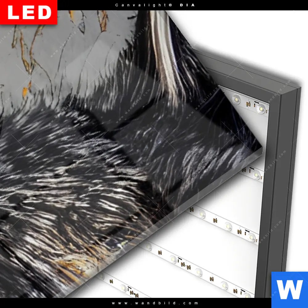 Wechselmotiv Acrylglas Canvalight® DIA | Abstrakter Wolf in Gold und Grau | Schmal - Image 3