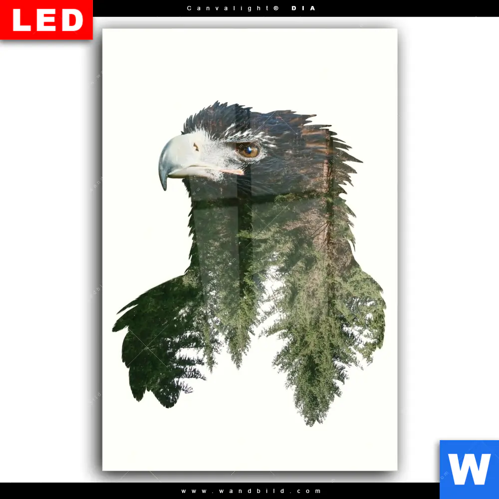 Wechselmotiv Acrylglas Canvalight® DIA | Adler & Wald | Hochformat - Image 2