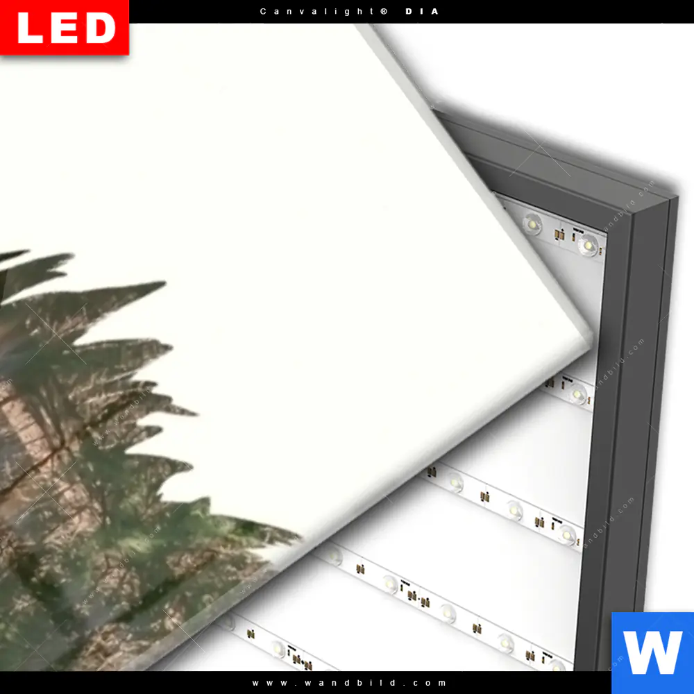Wechselmotiv Acrylglas Canvalight® DIA | Adler & Wald | Panorama - Image 3