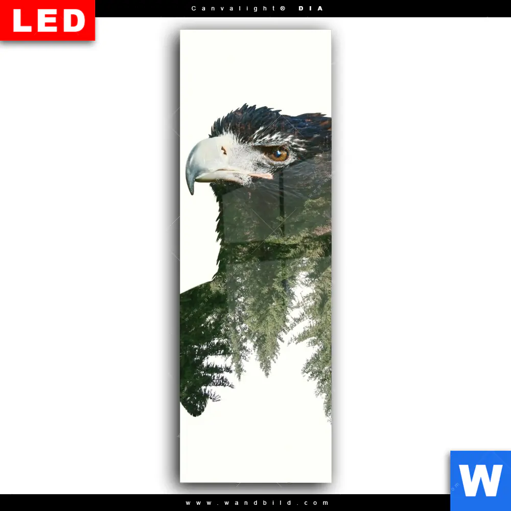 Wechselmotiv Acrylglas Canvalight® DIA | Adler & Wald | Schmal - Image 2