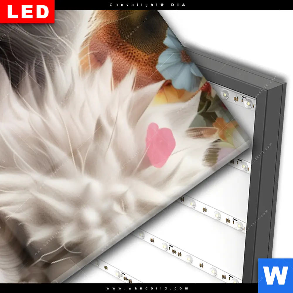 Wechselmotiv Acrylglas Canvalight® DIA | Alpaka mit Blumen | Schmal - Image 3