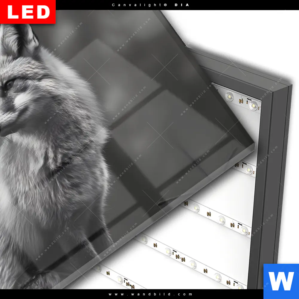 Wechselmotiv Acrylglas Canvalight® DIA | Anmutiger Fuchs | Querformat - Image 3