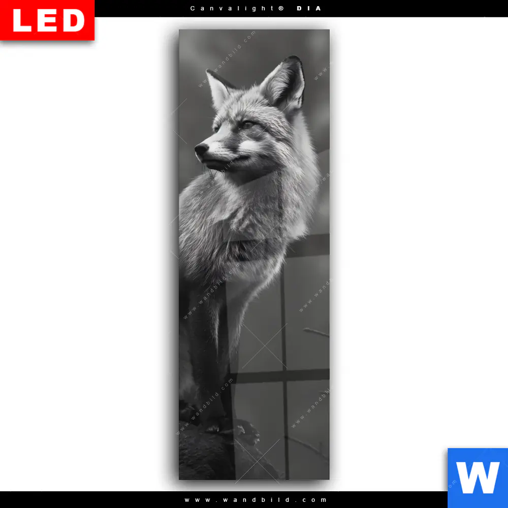 Wechselmotiv Acrylglas Canvalight® DIA | Anmutiger Fuchs | Schmal - Image 2