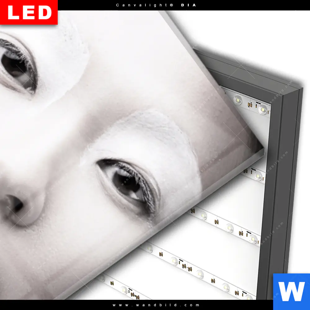Wechselmotiv Acrylglas Canvalight® DIA | Asiatische Schönheit | Schmal - Image 3