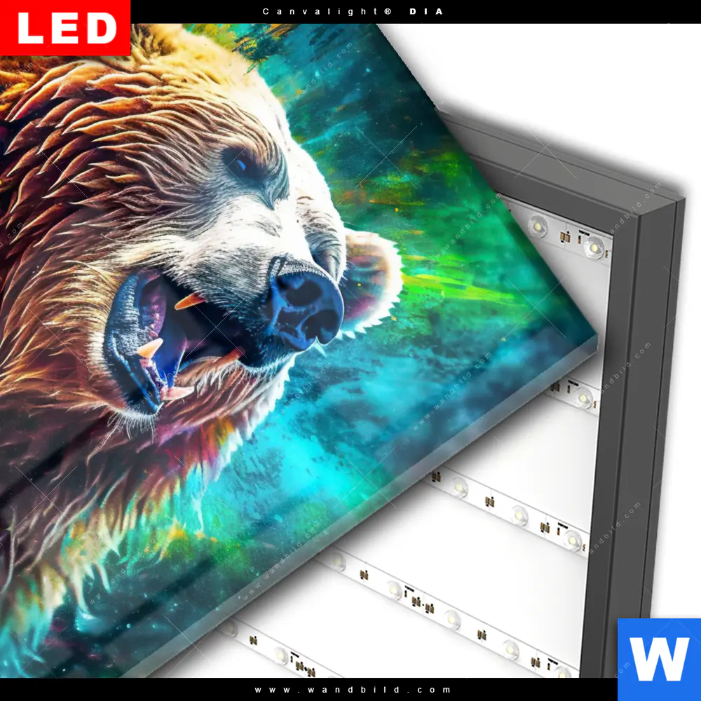 Wechselmotiv Acrylglas Canvalight® DIA | Bär in Neonfarben | Quadrat - Image 3