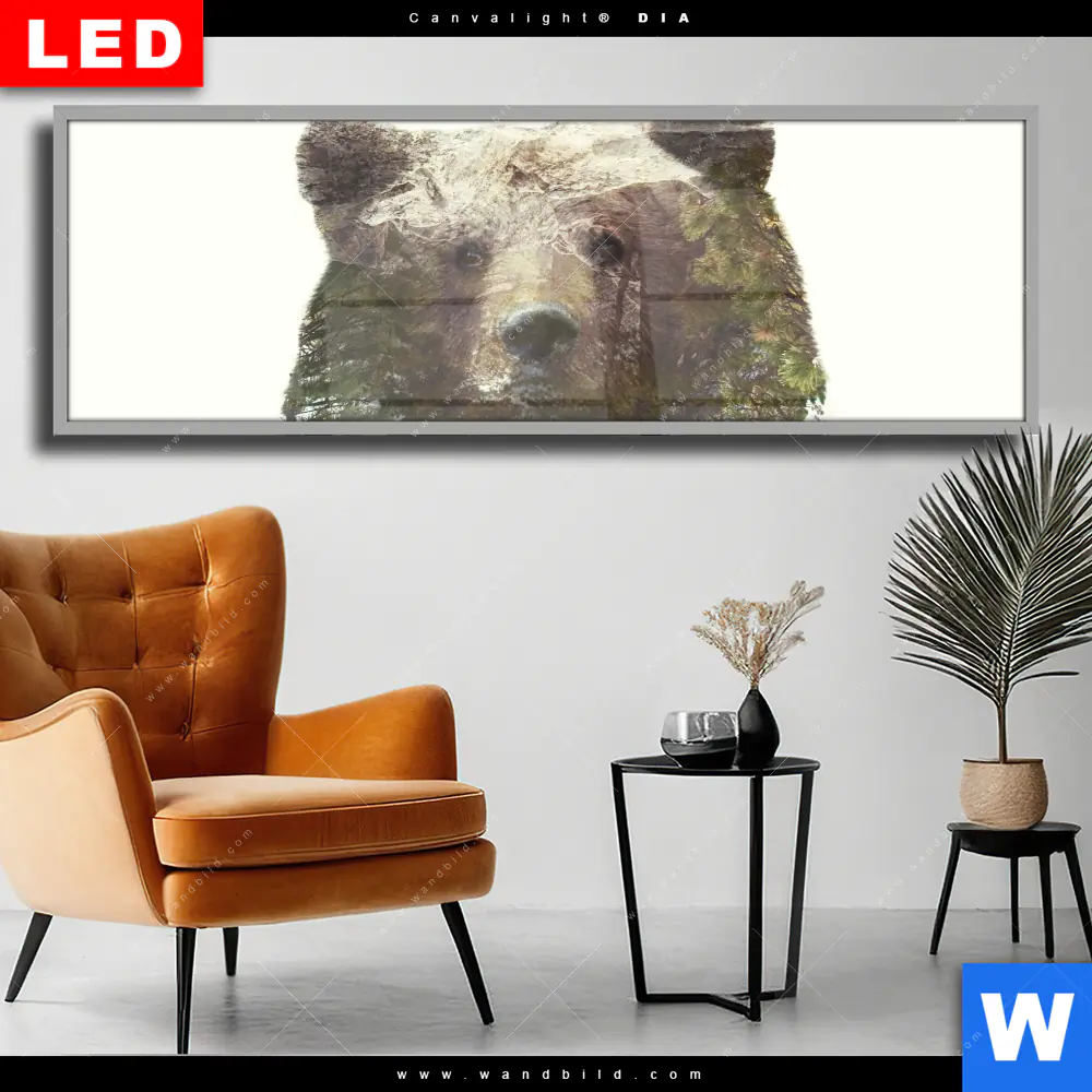 Wechselmotiv Acrylglas Canvalight® DIA | Bär & Wald No.1 | Panorama