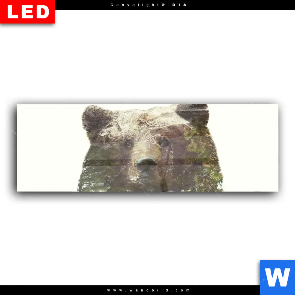 Wechselmotiv Acrylglas Canvalight® DIA | Bär & Wald No.1 | Panorama - Image 2