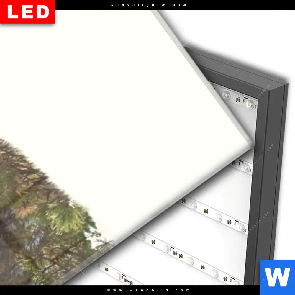 Wechselmotiv Acrylglas Canvalight® DIA | Bär & Wald No.1 | Panorama - Image 3